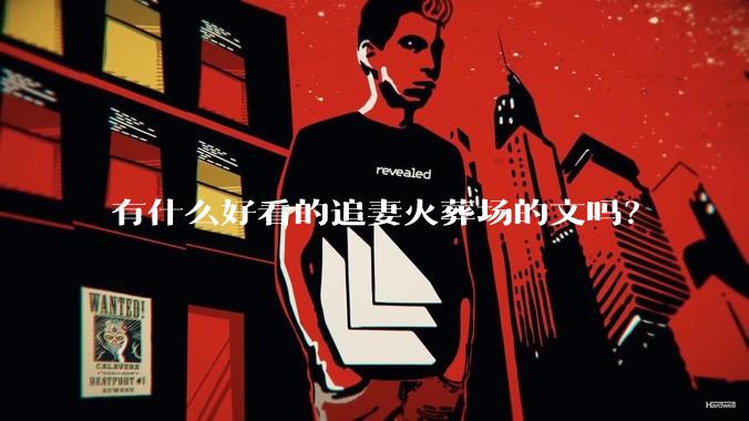 有什么好看的追妻火葬场的文吗？