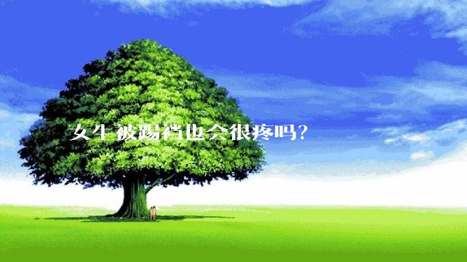 女生被踢裆也会很疼吗？