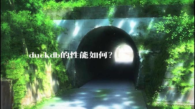 duckdb的性能如何？