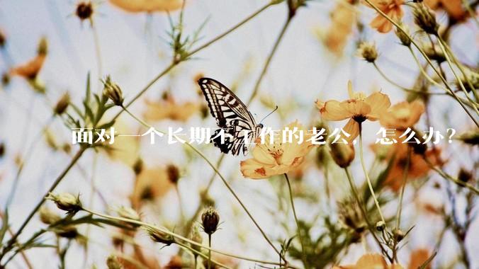 面对一个长期不工作的老公，怎么办？