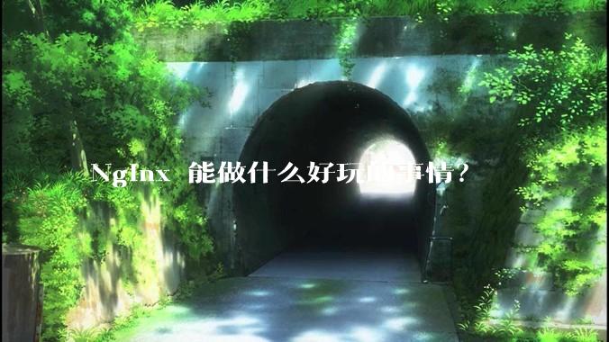 Nginx 能做什么好玩的事情？