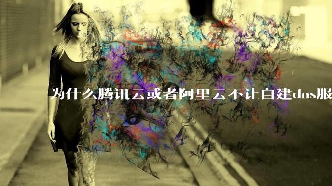 为什么腾讯云或者阿里云不让自建dns服务器?